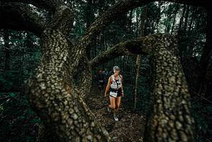 BIB: 
                            <button type="button" onclick="openModal(25687460)" class="btn btn-primary btn-sm float-right btn-popup" data-toggle="modal" data-target=".modal-high-quality">
                        <i class="fas fa-shopping-cart"></i> Add to Cart
                    </button>
                                            <button type="button" onclick="isThisMe(25687460, true)" class="btn btn-success btn-sm float-right btn-popup btn-isme hidden" data-toggle="tooltip" data-placement="bottom" title="นี่คือรูปของคุณใช่ไหม คลิกที่นี่เพื่อเอาเข้าอัลบั้ม">
                        <i class="fas fa-plus"></i> Add to album
                    </button>
                    <button type="button" onclick="isThisMe(25687460, false)" class="btn btn-warning btn-sm float-right btn-popup btn-isnotme hidden">
                        <i class="fas fa-ban"></i> Remove from album
                    </button>